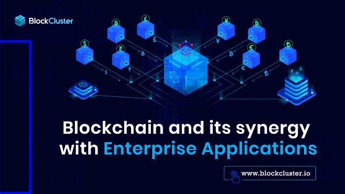 Blockchain and its Synergy with Enterprise Applications